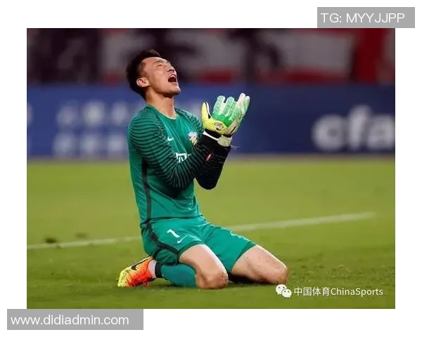 足协杯激战上港与权健精彩瞬间回顾与赛场图片分享